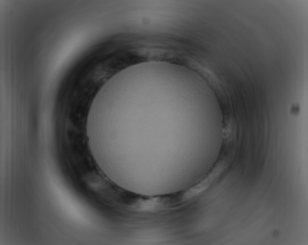 X0000101090430200807171852