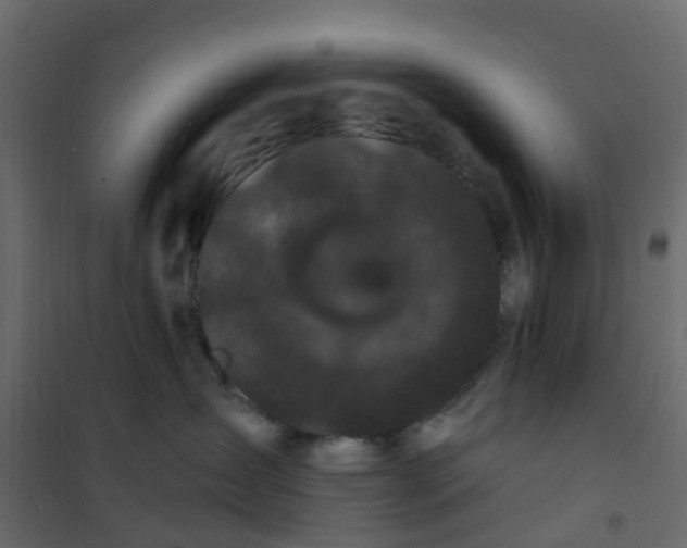 X0000101090431200807171852