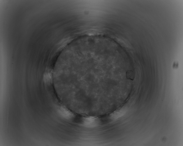 X0000101090432200807171852