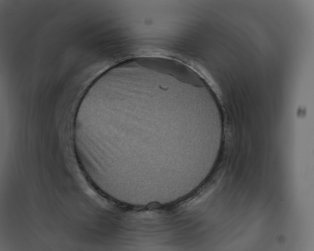 X0000101090433200807171852