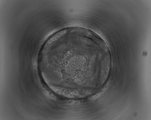 X0000101090434200807171852