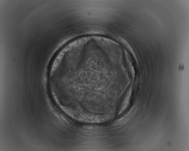 X0000101090435200807171852