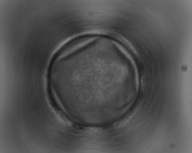 X0000101090436200807171852