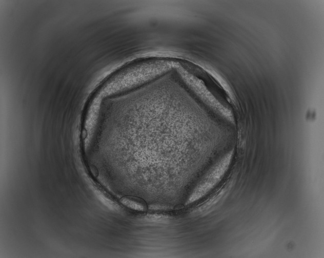 X0000101090437200807171852