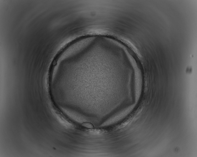 X0000101090439200807171852