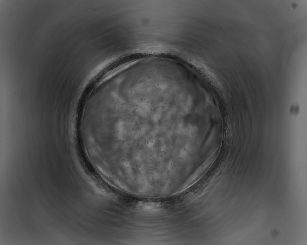 X0000101090440200807171852