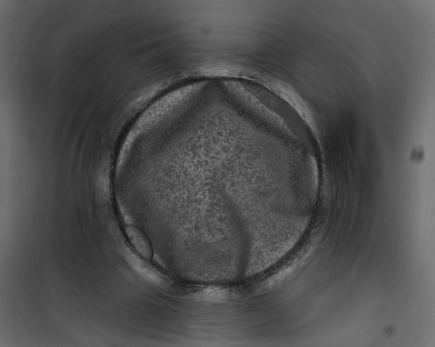 X0000101090441200807171852