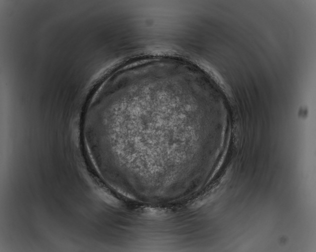 X0000101090442200807171852