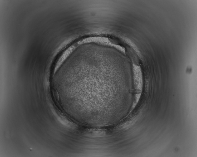 X0000101090443200807171852