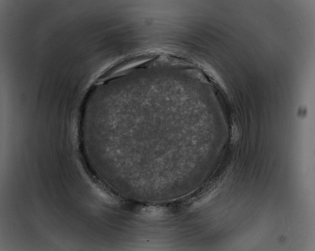 X0000101090444200807171852