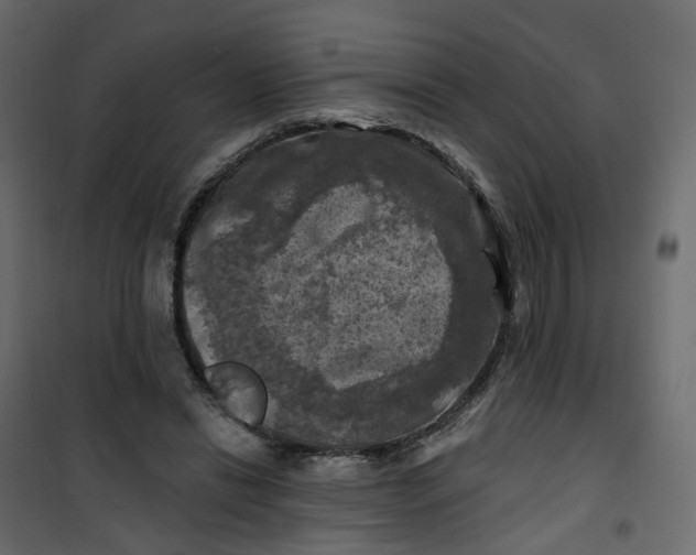 X0000101090446200807171852