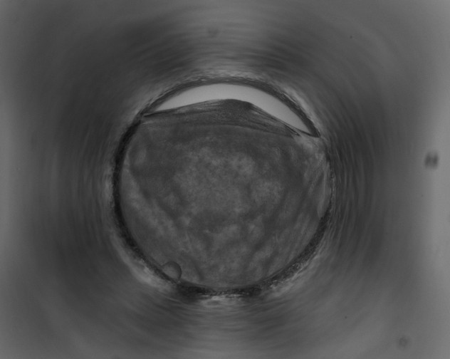 X0000101090447200807171852