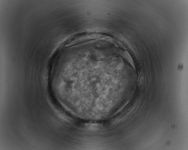 X0000101090448200807171852