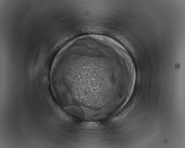 X0000101090449200807171852