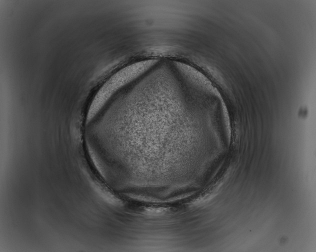 X0000101090450200807171852