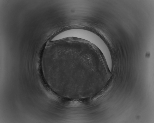 X0000101090451200807171852