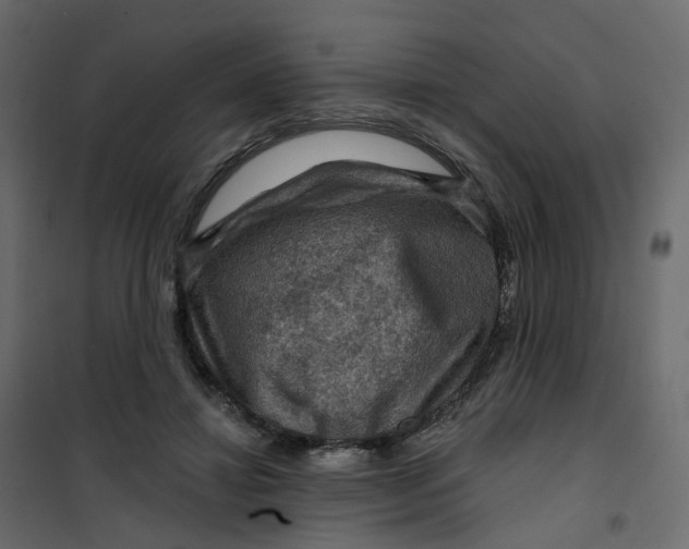 X0000101090452200807171852