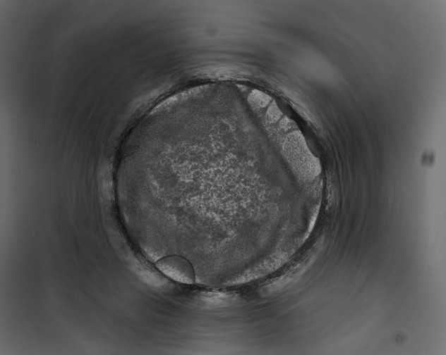 X0000101090453200807171852