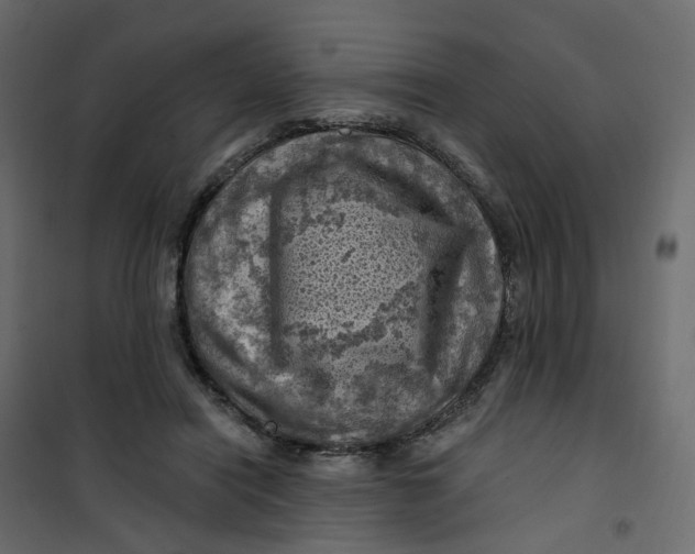 X0000101090454200807171852