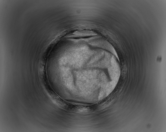 X0000101090456200807171852