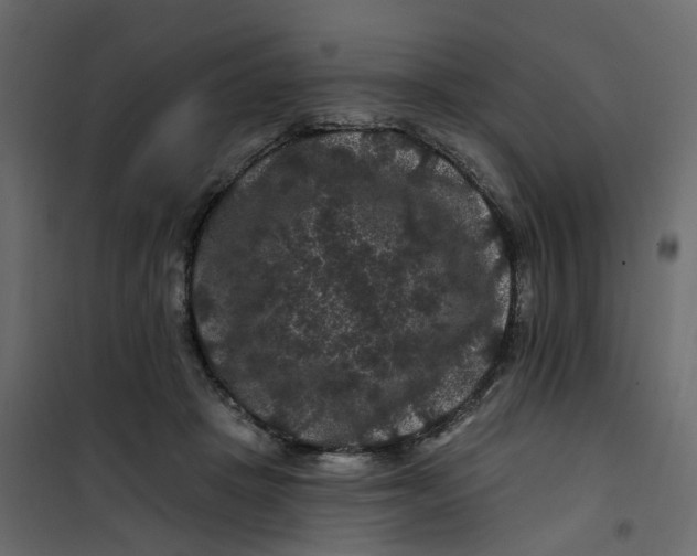 X0000101090457200807171852