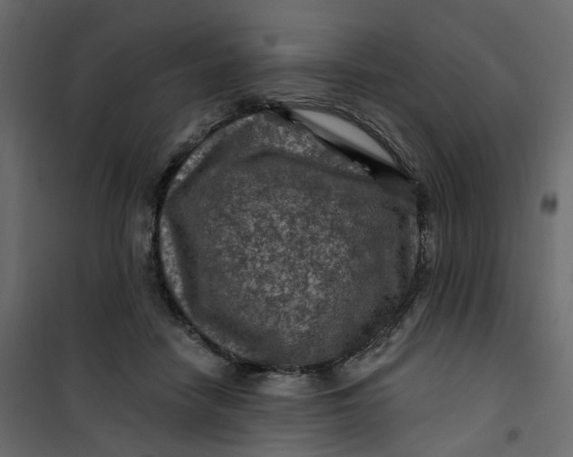 X0000101090458200807171852