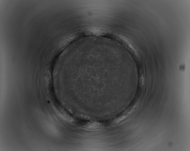 X0000101090459200807171852