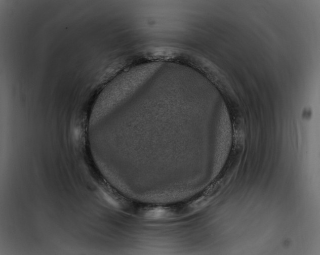 X0000101090460200807171852