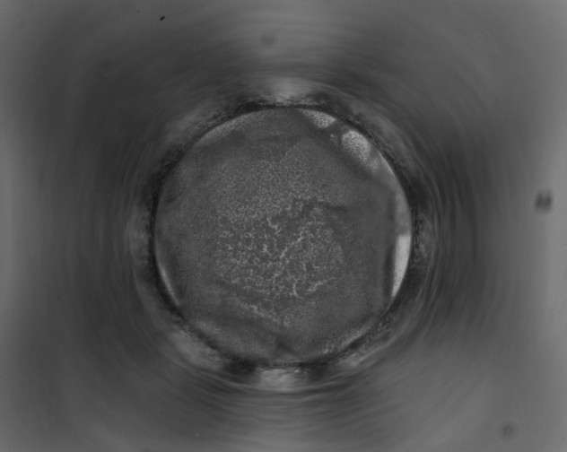 X0000101090461200807171852