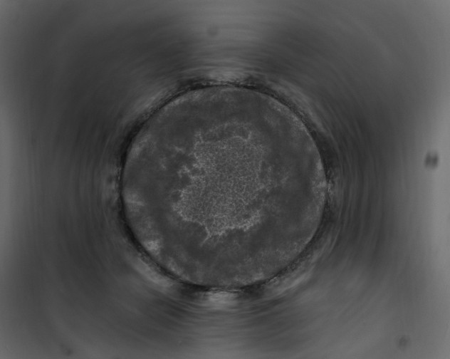 X0000101090462200807171852