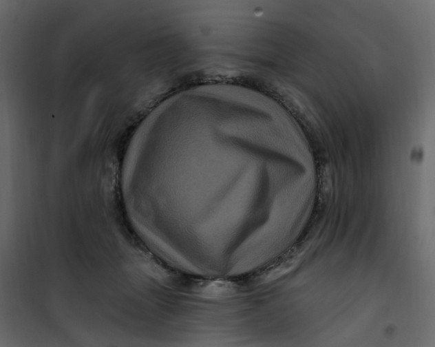 X0000101090463200807171852