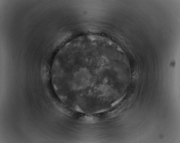 X0000101090464200807171852