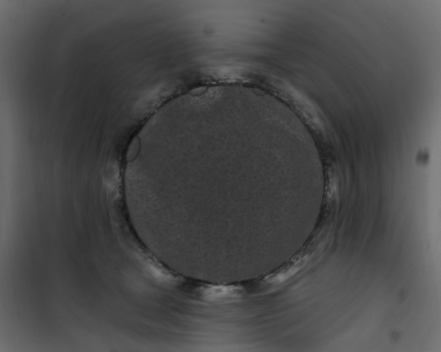 X0000101090465200807171852