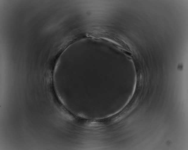 X0000101090467200807171852