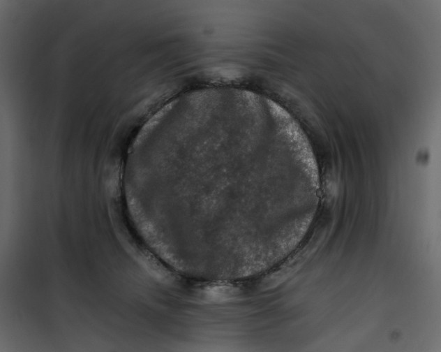 X0000101090468200807171852