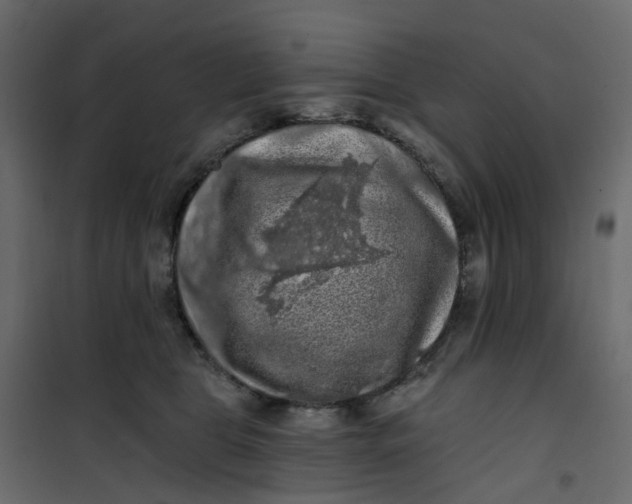 X0000101090469200807171852