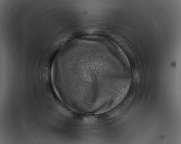 X0000101090470200807171852