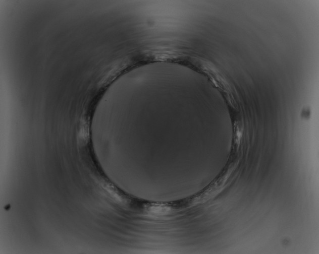 X0000101090471200807171852