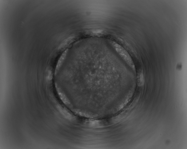 X0000101090472200807171852