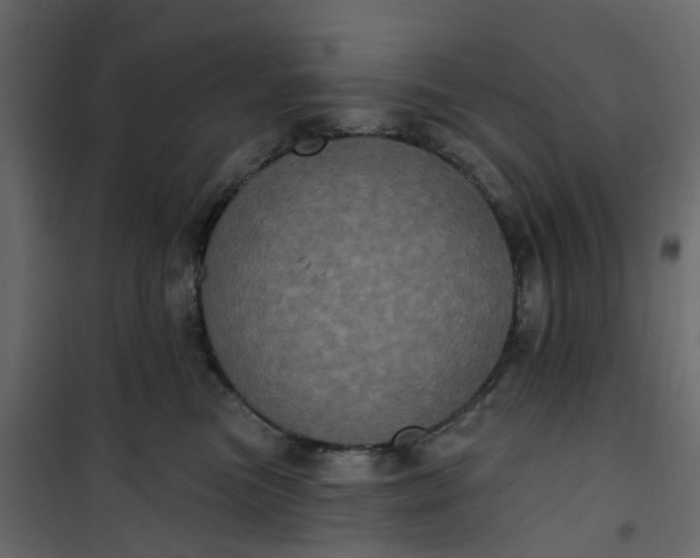 X0000101090473200807171852