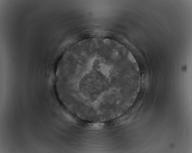 X0000101090474200807171852