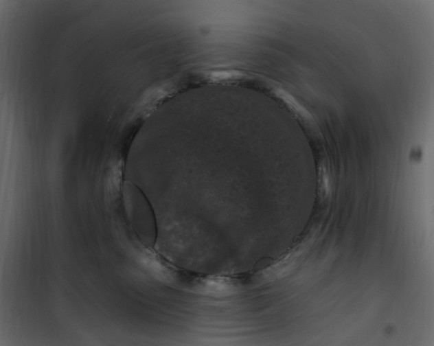 X0000101090475200807171852