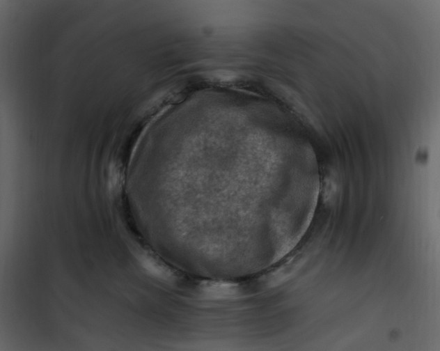 X0000101090476200807171852