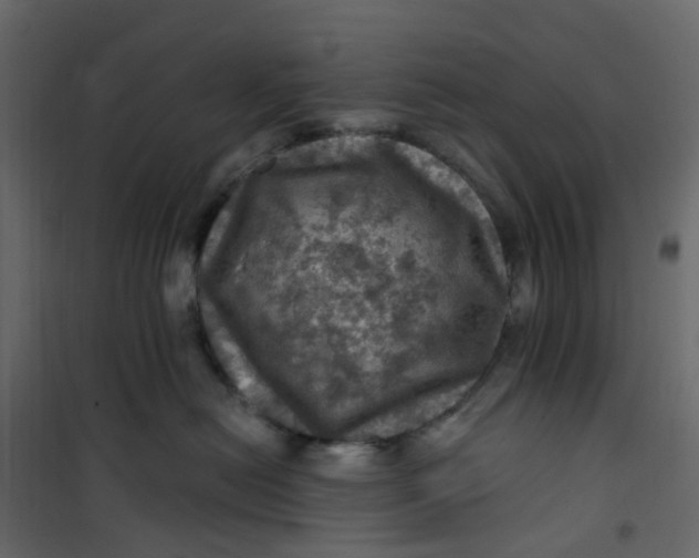 X0000101090478200807171852