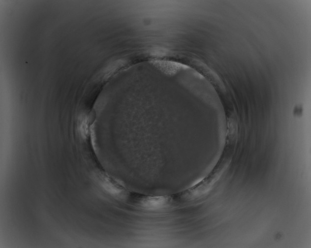 X0000101090479200807171852