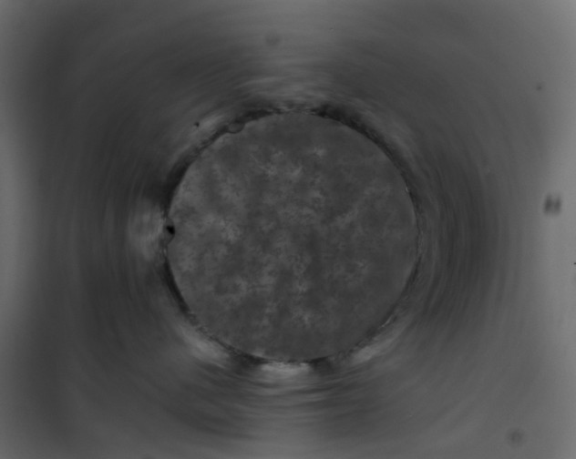 X0000101090480200807171852