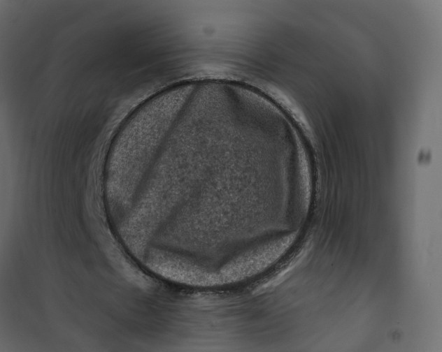 X0000101090481200807171852