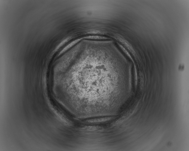 X0000101090482200807171852