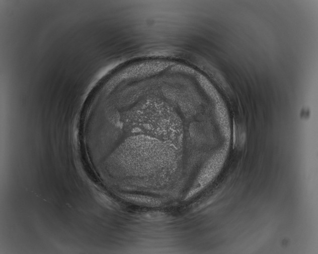 X0000101090483200807171852