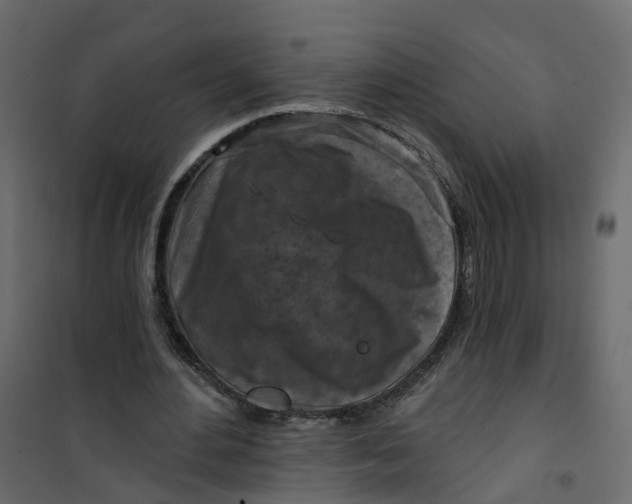 X0000101090484200807171852